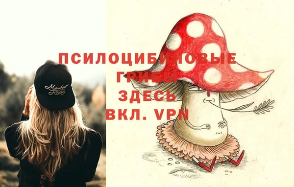 Альфа ПВП Козельск